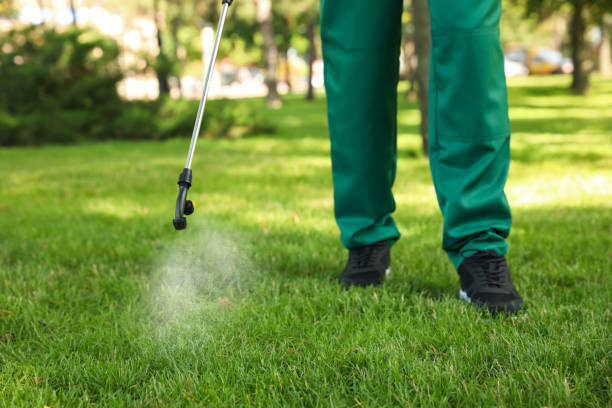 Best Best Pest Control Companies  in Saybrook Manor, CT