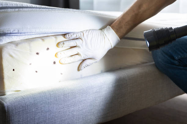 Best Pest Prevention Services  in Saybrook Manor, CT