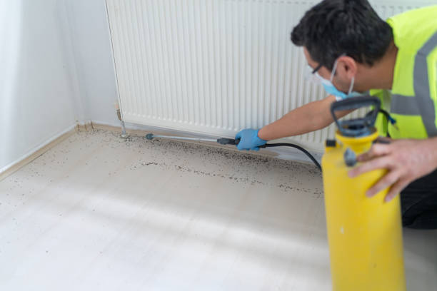 Best Pest Control for Businesses  in Saybrook Manor, CT